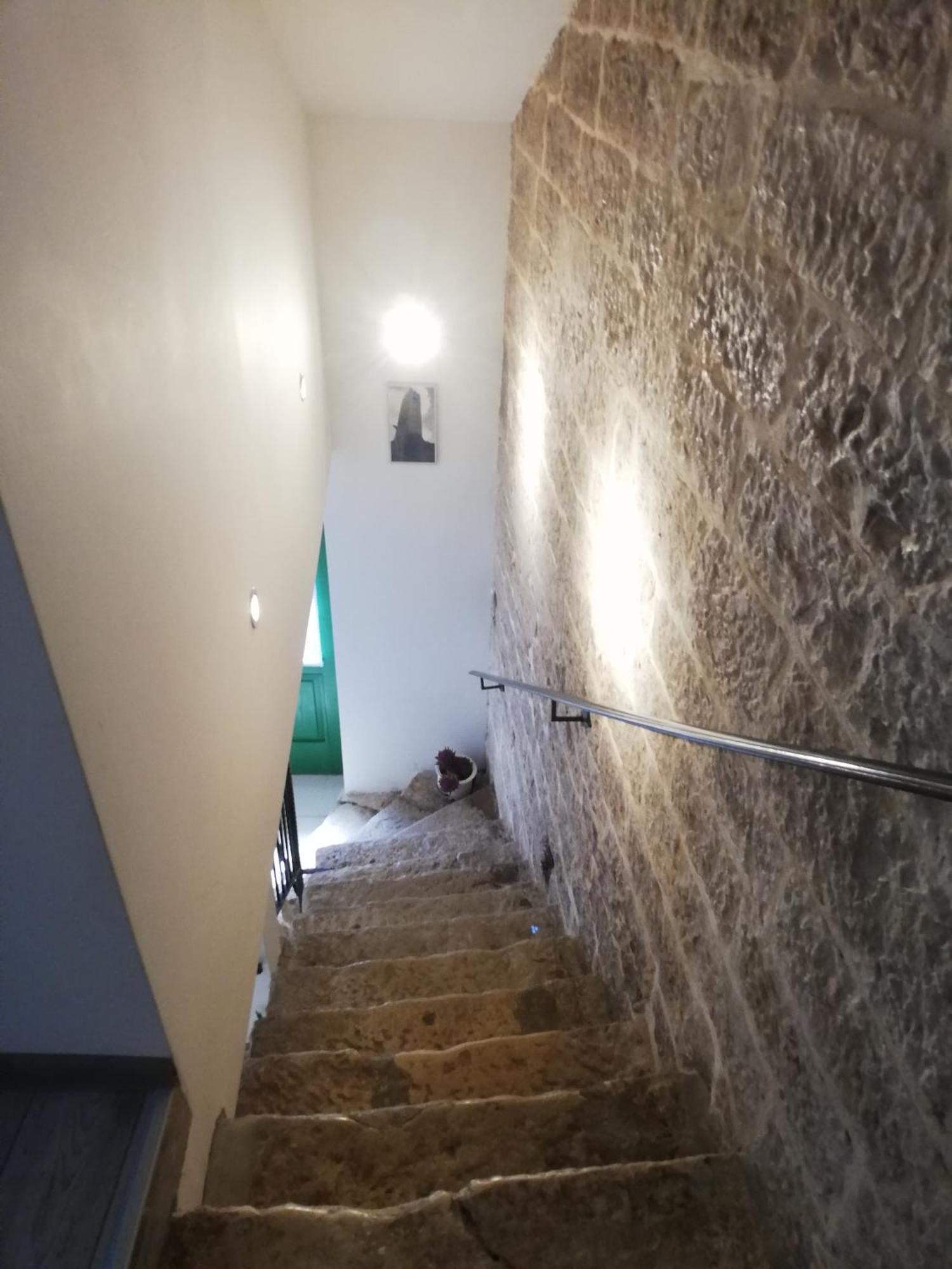 Lory Sveti Lovrec Pazenaticki